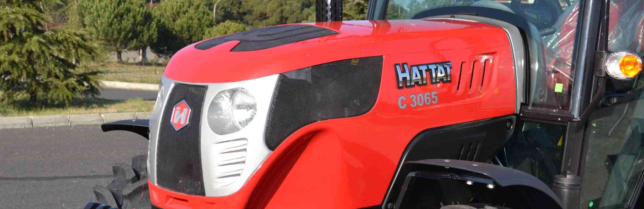 Hattat C