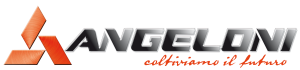 angeloni logo