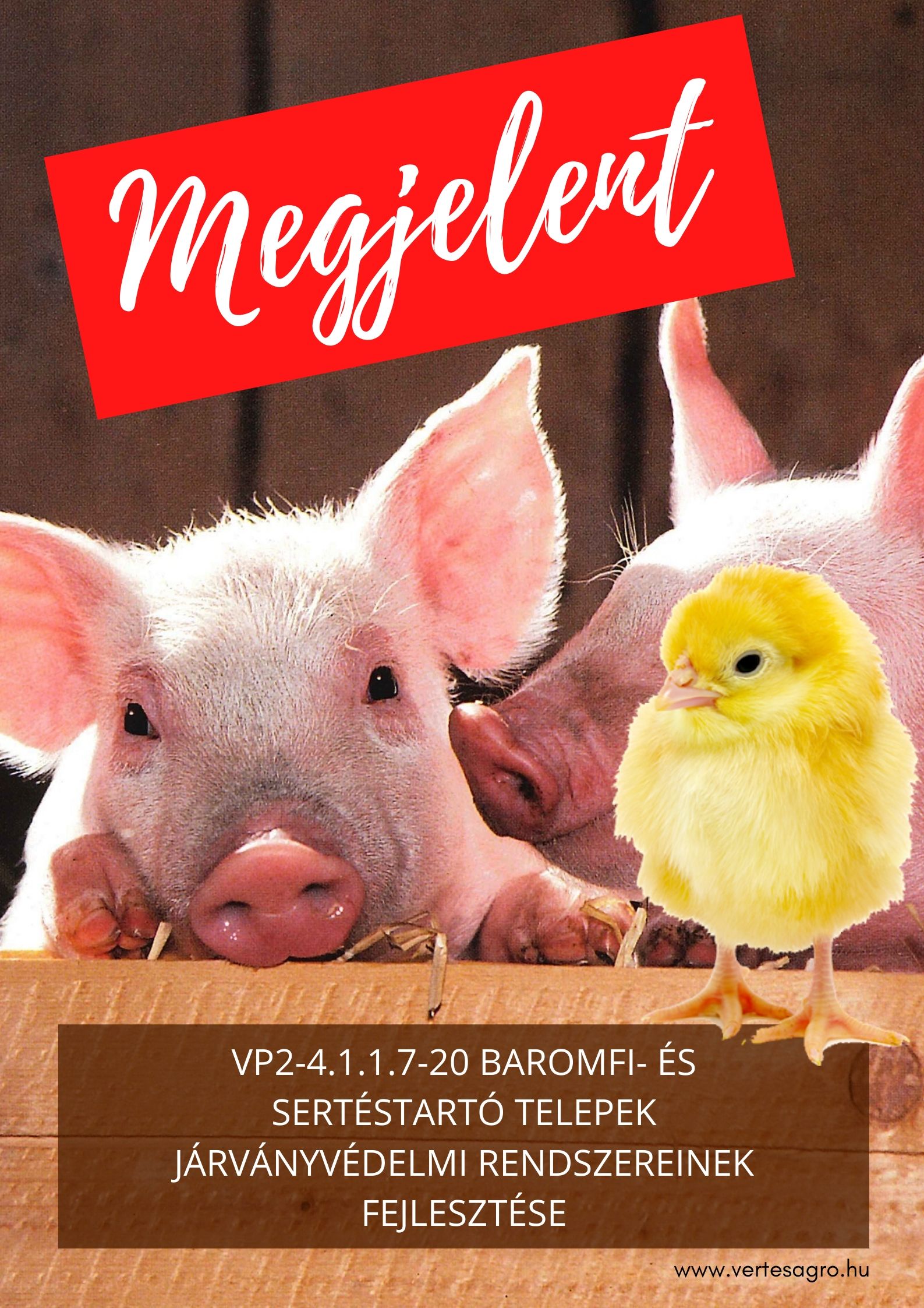 PÁLYÁZATRA FEL!